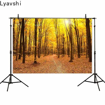 Lyavshi fotoğraf stüdyosu için arka planlar Solmuş sarı ağaçlar Düşen yapraklar orman zemin sonbahar sezonu