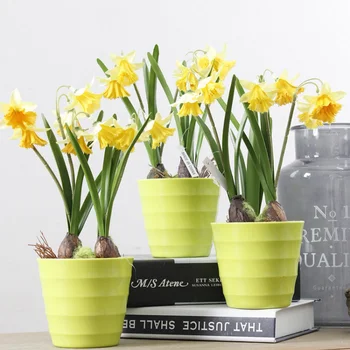 1 ADET Nergis Yapay İpek Çiçekler Pot Dıy Ev Mağaza Ekran Dekorasyon Süs Sahte Çiçek Bonsai Bitkiler Setleri