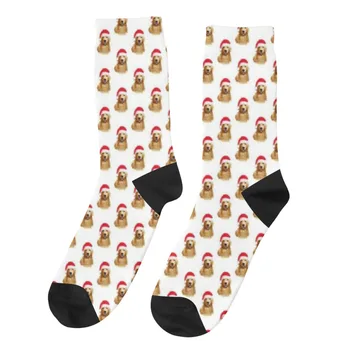 Golden Retriever Santa Şapka Köpek orijinal Noel Baba Noel çorap stuffers Hediye Erkekler ve Kadınlar Gençler İçin Çorap
